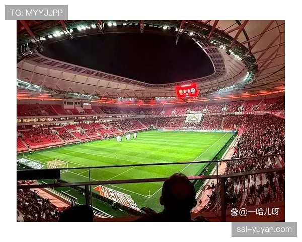 中超球市观察：大连英博主场上座人数居首，凤凰山专业球场氛围火热