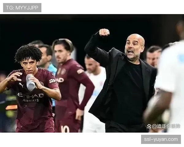 努内斯有望周末复出，曼城欧冠前迎利好