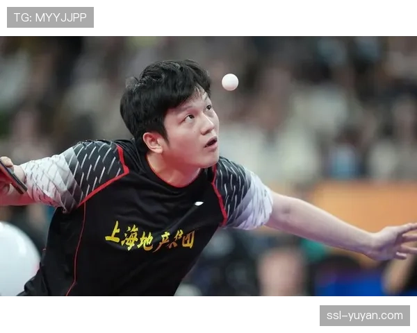 樊振东欧冠遭遇连败，中国乒坛名将转型期遇挑战