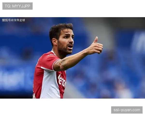 荷兰女垒主力捕手宣布从国家队退役，将专注于俱乐部比赛与教练培训课程